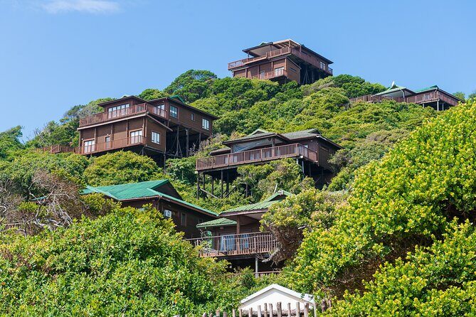 Full Day Private Ponta D'Ouro Tour from Maputo - The Sum Up