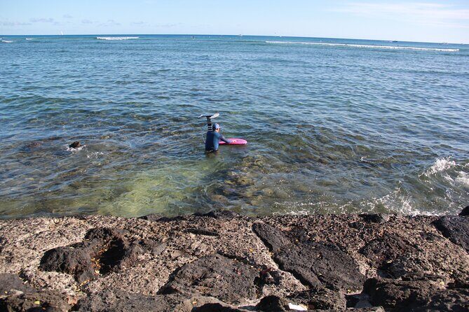 Full Day Private Professional Photo/Video Tour in Honolulu Island - Analyzing the Value