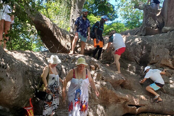 Full Day Private Safari Blue Sea Adventure in Zanzibar - Frequently Asked Questions