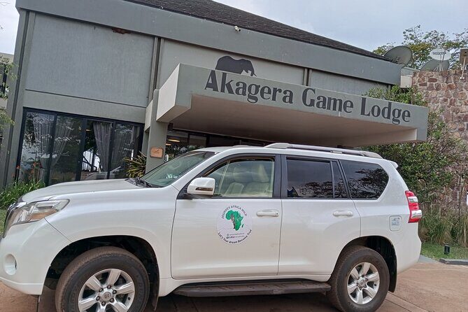 Full-Day Private Safari of Akagera National Park with Lunch - What Could Be Improved or Considered