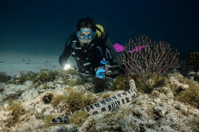 Full Day Private Scuba Diving in Espiritu Santo Island - Key Points