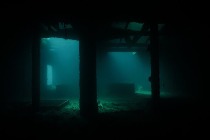Full Day Private Scuba Diving in Espiritu Santo Island - Who Should Consider This Tour?