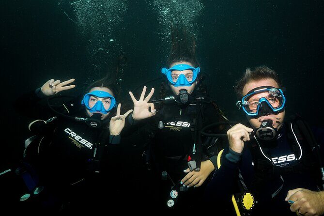 Full Day Private Scuba Diving in Espiritu Santo Island - Final Words