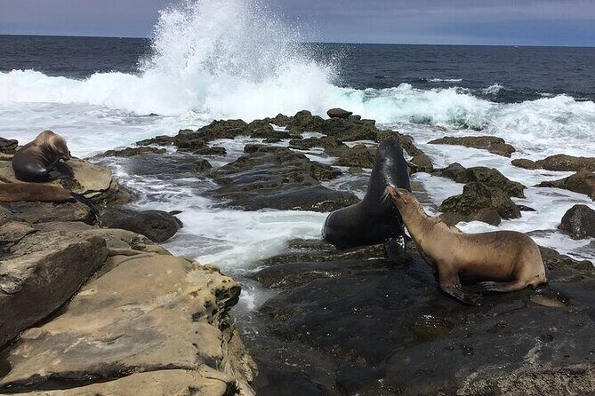 Full Day Private SD Tour from Oceanside - Exploring the Itinerary in Detail