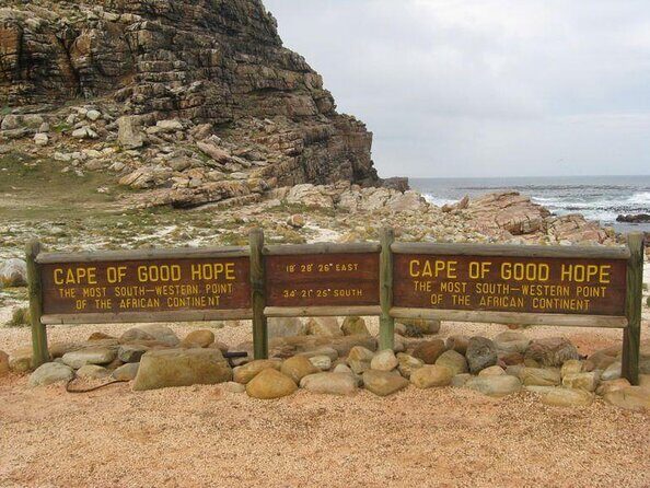 Full Day Private Sea Kayaking & Cape Point - The Practicalities: What to Expect and Considerations