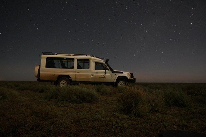 Full-Day Private Serengeti Safari from Mwanza - An In-Depth Look at the Serengeti Safari Experience