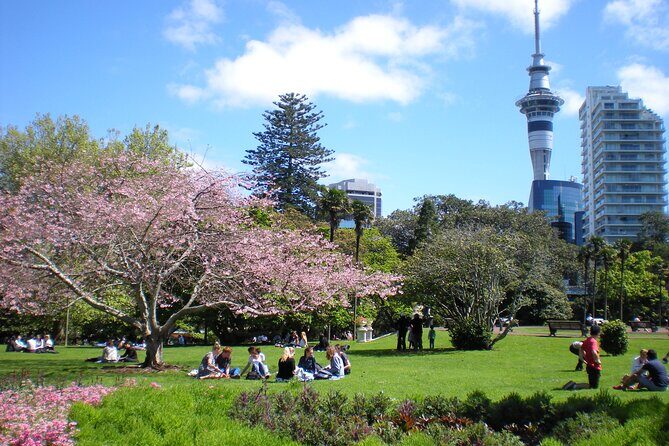 Full Day Private Shore Tour in Auckland from Bay Of Islands Port - Final Thoughts