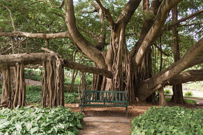 Full Day Private Shore Tour in Brisbane from Brisbane Cruise Port - Brisbane Botanic Gardens at Mt. Coot-tha