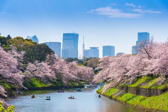 Full Day Private Shore Tour in Tokyo from Tokyo Cruise Port - What Travelers Say and Why It Matters