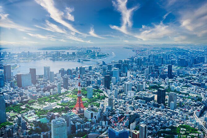 Full Day Private Shore Tour in Tokyo from Tokyo Cruise Port - Who Will Love This Tour?
