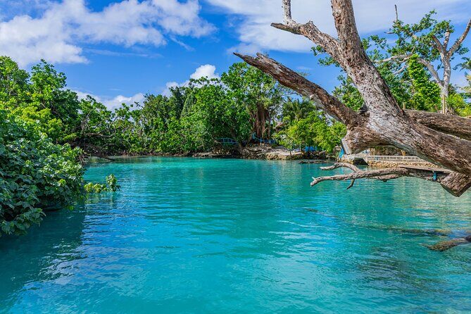 Full Day Private Shore Tour: Taste of the Tropics in Port Vila - FAQs