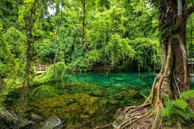 Full Day Private Shore Tour: Taste, Sea & Swim in Port Vila - The Sum Up