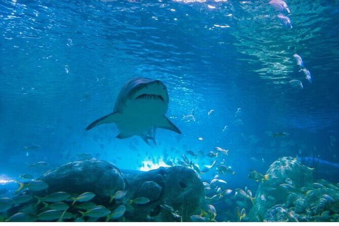 Full Day Private Sightseeing Tour in Toronto - Frequently Asked Questions
