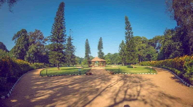 Full-day Private Sightseeing Tour of Bangalore - Exploring Bangalore’s Green Heart: Lal Bagh and Cubbon Park