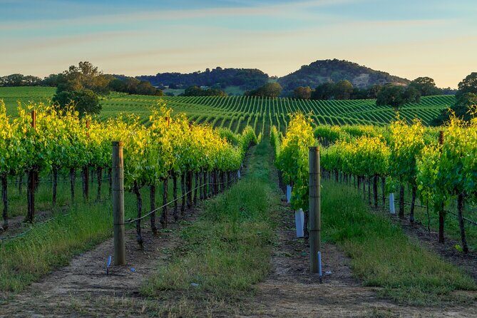 Full-Day Private Sonoma Valley Wine Tour from San Francisco - Key Points