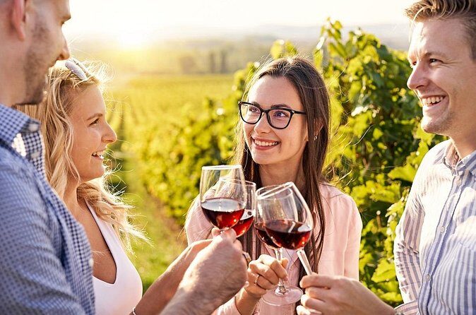 Full-Day Private Sonoma Valley Wine Tour from San Francisco - Final Thoughts