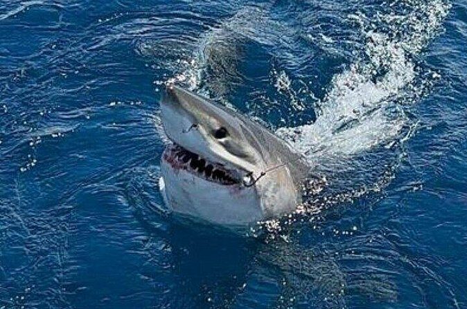 Full Day Private Sportfishing Charter in Fort Lauderdale - Practical Details and Booking