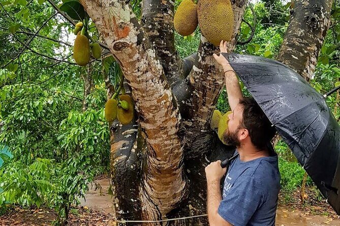 Full Day Private Stone Town, Spice Farm & Prison Island Tour - What to Expect from the Tour