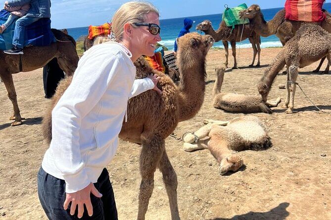 Full Day Private Tangier Tour From Tarifa All Inclusive - The Sum Up