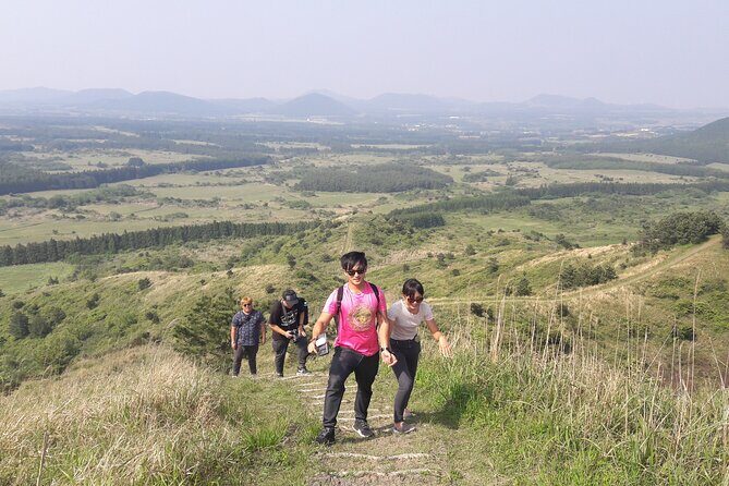 Full-Day Private Taxi Tour South of Jeju Island - Authentic Experiences and Traveler Insights