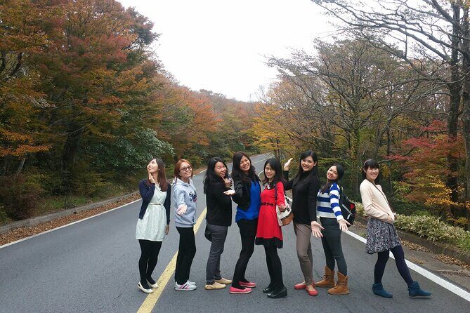Full-Day Private Taxi Tour South of Jeju Island - Who Will Love This Tour?