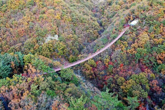 Full Day Private Tour DMZ (The 3rd Tunnel) & Suspension Bridge - Frequently Asked Questions