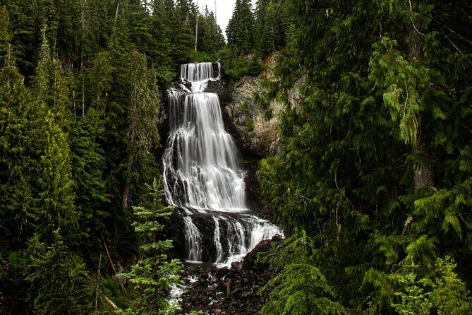 Full-Day Private Tour from Bellingham to Whistler B.C. Canada - Practical Tips for Travelers
