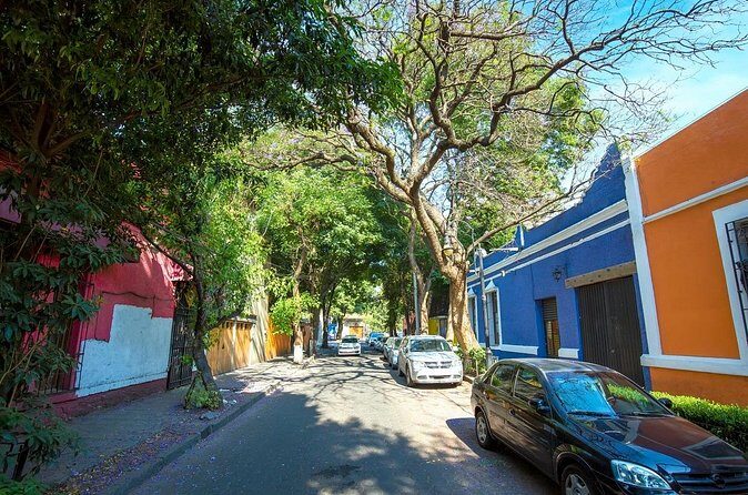 Full-day private tour from Mexico city to Coyoacán - Who Should Consider This Tour?