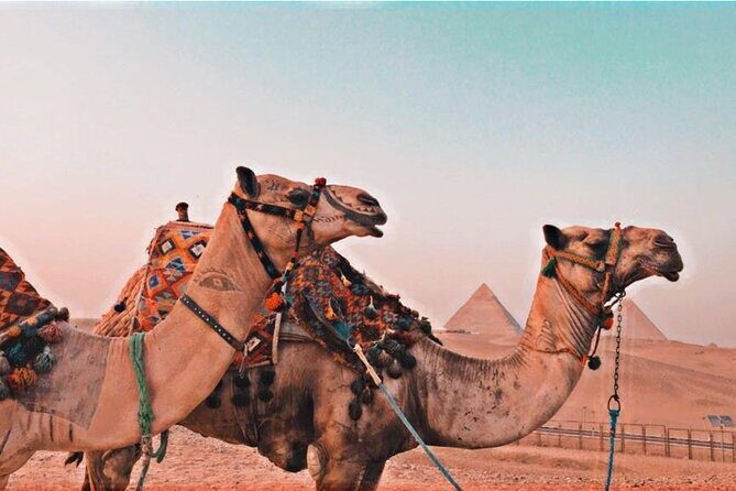 Full-Day Private Tour Giza Pyramids, Saqqara and Dahshur - Transportation, Timing, and Comfort