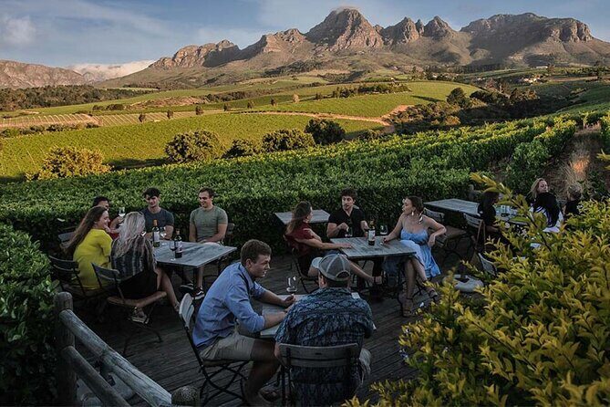 Full-Day Private Tour: Highlights of the Cape - The Sum Up