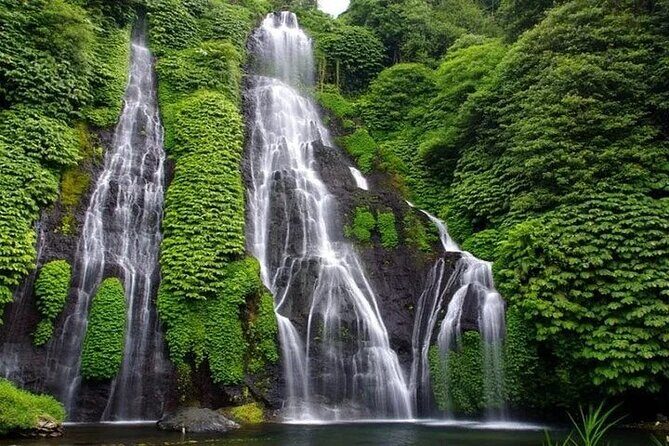 Full Day Private Tour in Bali - Analyzing the Tours Value