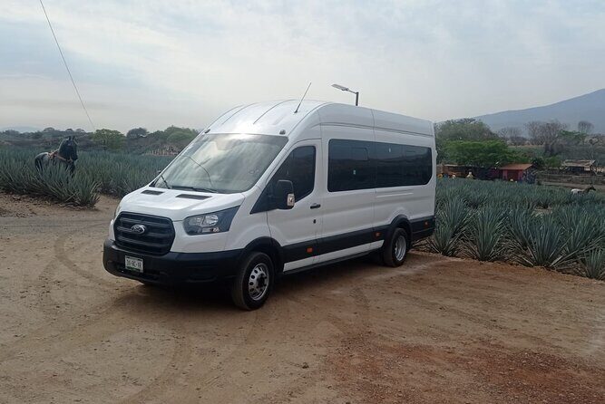 Full-Day Private Tour in Guadalajara - The Value and Practicalities