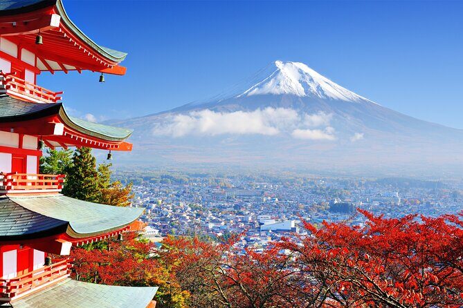 Full Day Private Tour in Mt. Fuji and Hakone - FAQs