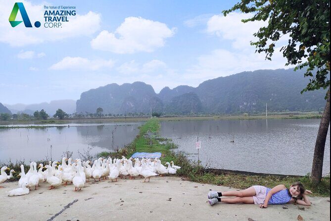 Full Day Private Tour in Ninh Binh(Trang An-Bich Dong-Mua Cave) - Who Should Consider This Tour?