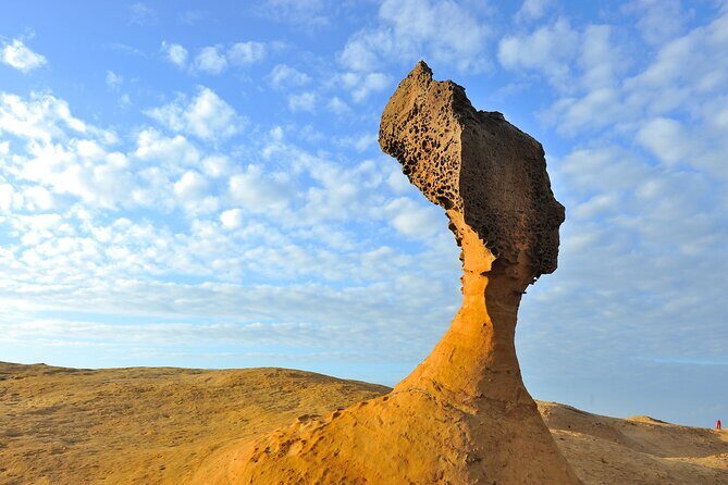 Full-Day Private Tour in Northern Taiwan - Who Should Consider This Tour?
