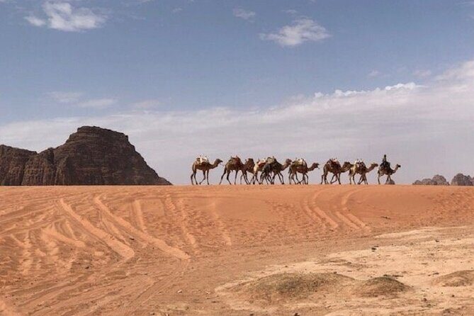 Full-Day Private Tour in Petra with Hotel Pick-Up - Final Thoughts