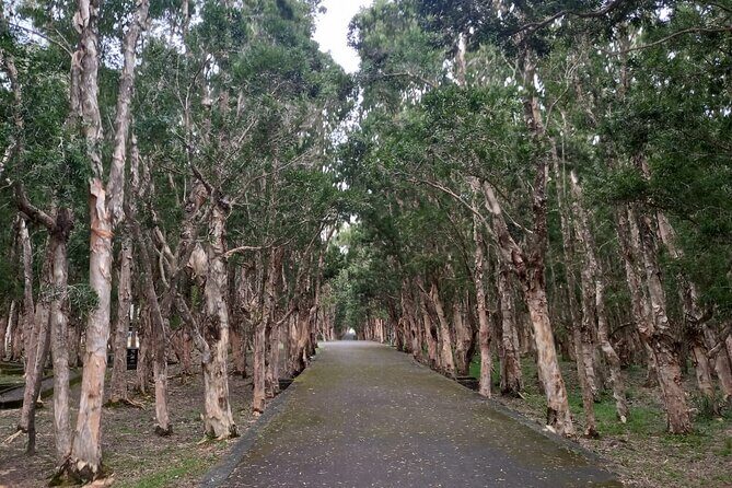 Full Day Private Tour in South of Mauritius - The Sum Up