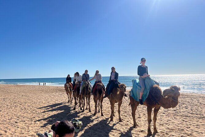 Full Day Private Tour in Tangier - Key Points