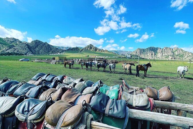 Full Day Private Tour in Terelj National Park with Horse Riding - The Sum Up