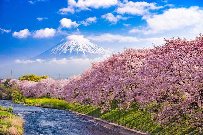 Full Day Private Tour Mt. Fuji, Hakone and Lake Ashi - What the Tour Includes and How It Works