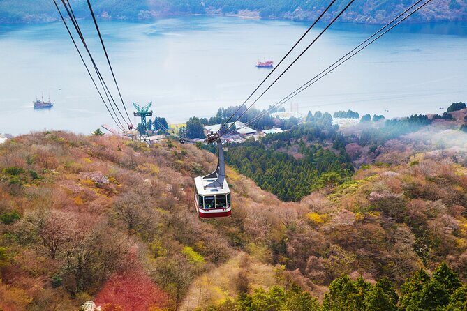 Full Day Private Tour Mt. Fuji, Hakone and Lake Ashi - Who Will Love This Tour?