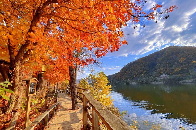 Full Day Private Tour Nami Island, Garden & Petite France - Who Should Consider This Tour?