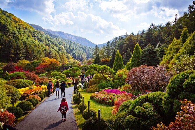 Full Day Private Tour Nami Island, Garden & Petite France - FAQs