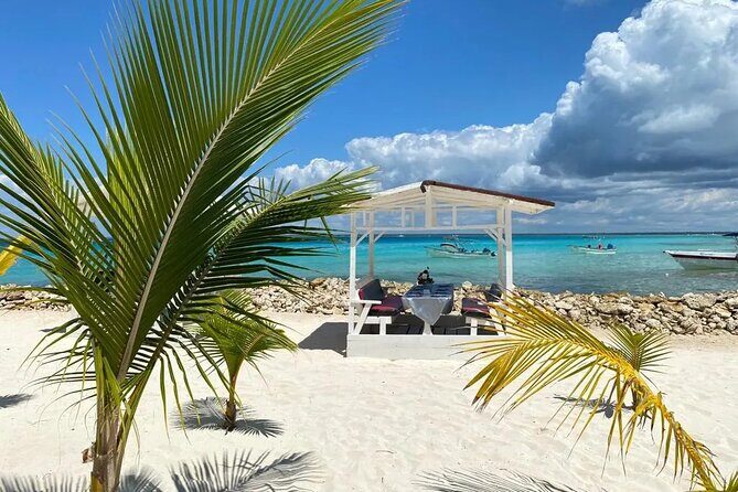 Full Day Private Tour of Bayahibe, Cotubanamá and Saona Island - Practical Considerations: What You Should Know