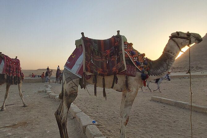 Full-Day Private Tour of Cairo and Giza with Lunch - The Sum Up