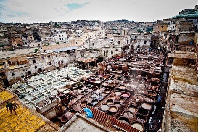 Full-Day Private Tour of Fez - Why This Tour Offers Real Value for Your Money