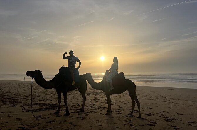 Full Day Private Tour of Tangier - FAQ