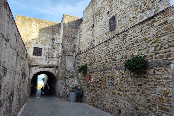 full day private tour of tangier from the cruise ship pick up - Who Should Book This Tour?