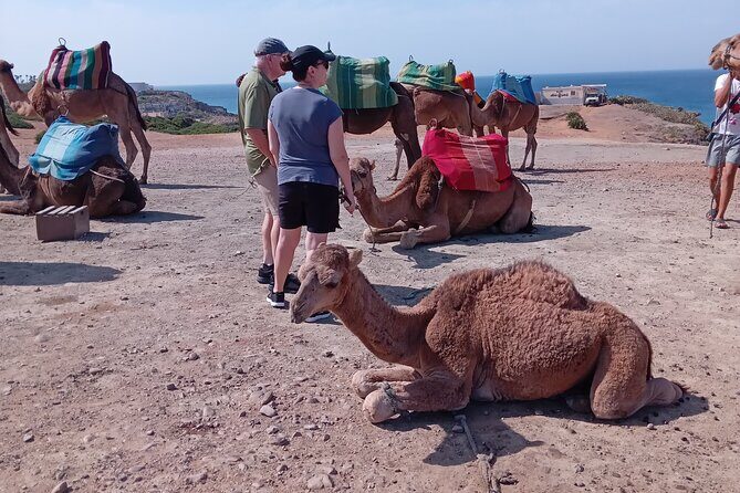 full day private tour of tangier from the cruise ship pick up - In The Sum Up