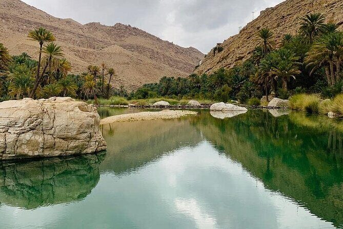 Full-Day Private Tour of Wahiba Sands Desert and Wadi Bani Khalid - Exploring Oman’s Natural Wonders: A Review of the Full-Day Private Tour of Wahiba Sands and Wadi Bani Khalid